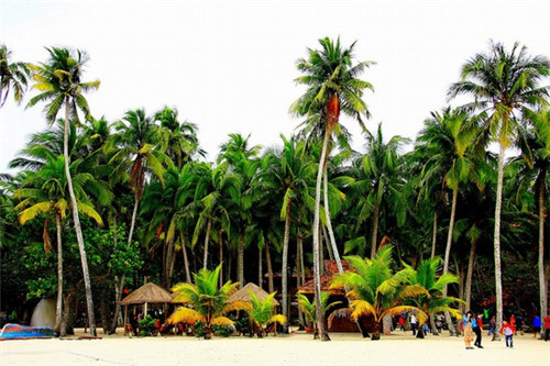 优酷吧果冻冰淇淋