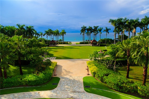 泸州老窖壹号窖代理