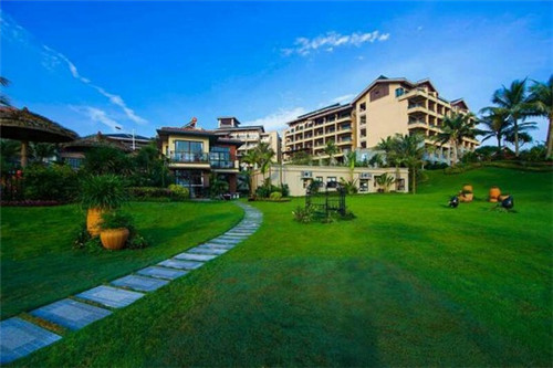 青砖茶哪个品牌好