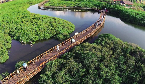 睫毛打底膏品牌排名