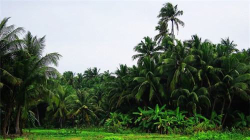 马斯的火锅杯加盟现状如何