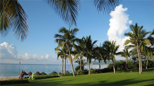 杭州奶茶店装修找木工吗