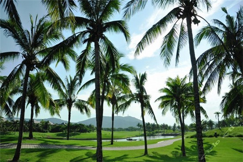 开帽子店创业方向怎么样