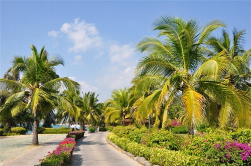 綦江县创业2025凉茶连锁店什么品牌加盟费低