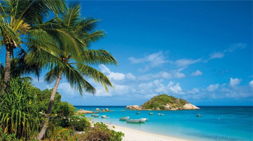 抖音厨窗佣金在抖音提现吗（抖音厨窗佣金是按单还是按金额比例）